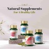 GinSen Uterus Support, Ultimate Nourishment for Women’s Reproductive Health, 150