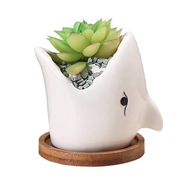 SJBAG Ceramic Animal Shark Shaped Flower Pot - Unique and Charming Home Decor (White & Bamboo Tray)