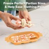Haakaa Baby Fruit Food Feeder & Silicone Freezer Nibble Tray