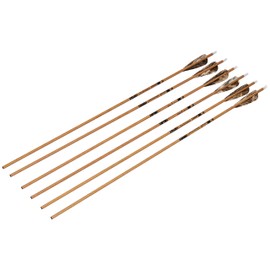 Gold Tip Traditional Arrows with 4-Inch Feathers (Pack of 6), Brown, 500