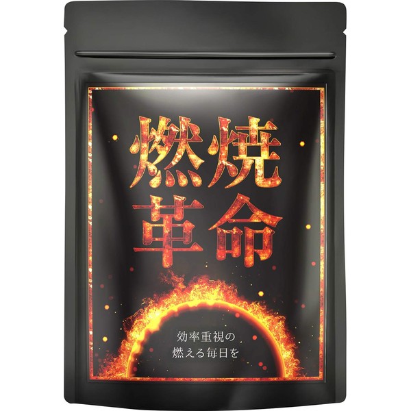 燃焼革命 カプサイシン ブラックジンジャー L-カルニチン 厳選11種 30日分(国内生産)