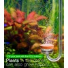 Clscea Acrylic Hooked CO2 Diffuser for Aquarium Planted Tank (Length