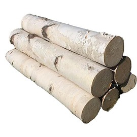 White Birch Log Set for Fireplace 24"