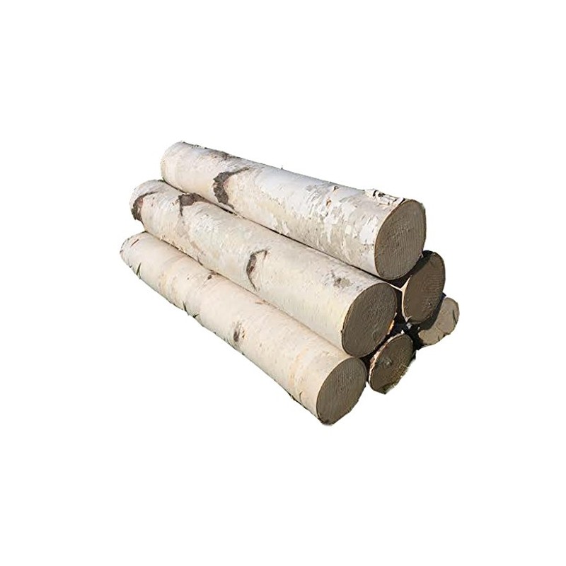 White Birch Log Set for Fireplace 24"