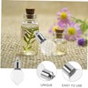 PACKOVE 10pcs Mini Glass Perfume Bottles Empty Refillable Bottles Screw