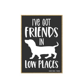 Honey Dew Gifts, I've Got Friends in Low Places, 2.5 Inch by 3.5 Inch, Funny Refrigerator Magnets, Decorative Magnets, Dachshund Gifts, Dachshund Decor, Funny Dog Stuff, 754053
