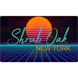 Shrub Oak New York 4 X 2.25-Inch Vinyl Decal Stiker Retro Neon Design