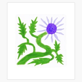 Handdrawn Gregg's Mistflower Bumper Sticker Vinyl Decal 5"