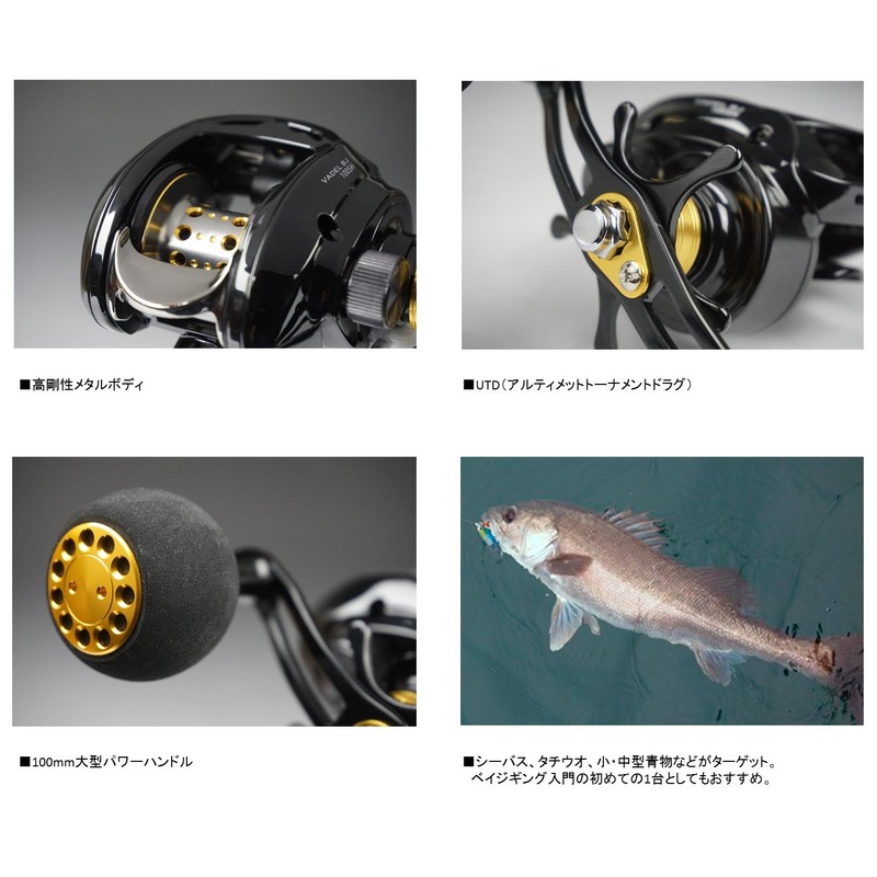 ダイワ(DAIWA) ベイトリール 16 ヴァデル BJ 100SH (2016モデル)