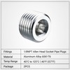 EVIL ENERGY 1/8" NPT Plugs Aluminum Socket Allen Head Silver,