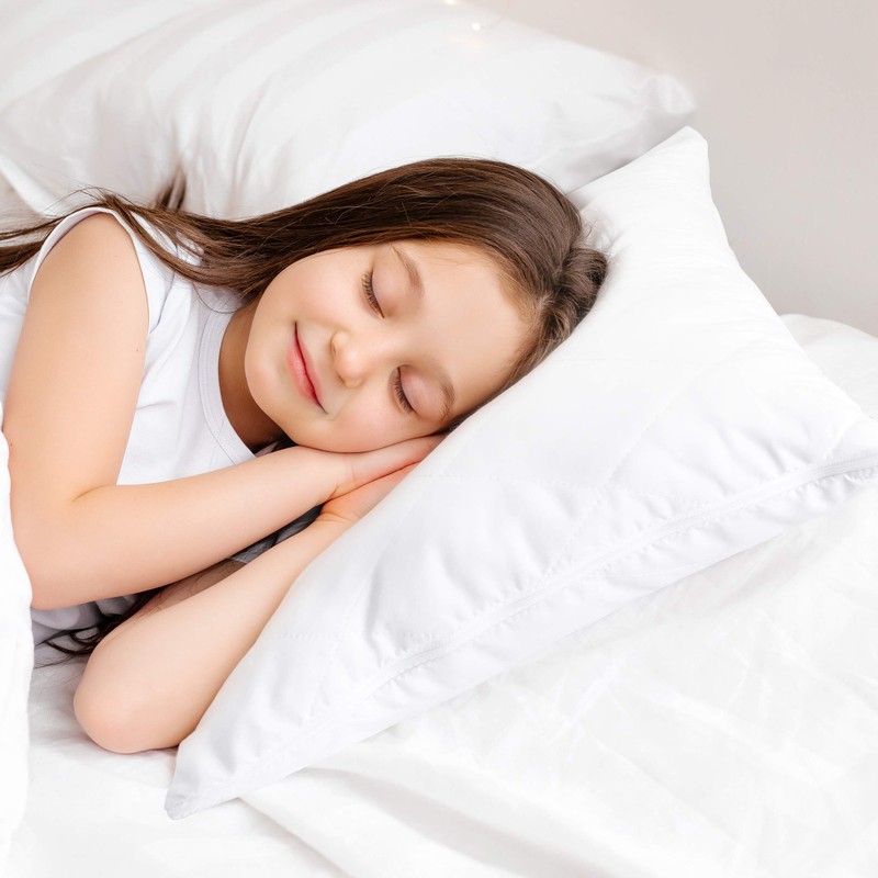 RED COMFORTS Pillow Protector 4 Pack Quilted Microfiber Covers -