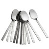 Eudokky 12 Piece Dinner Spoons Tablespoons Set Stainless Steel Soup