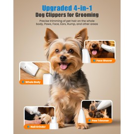 4-in-1 Dog Clippers for Grooming, Upgraded 2-Speed Pet Paw Trimmer and Nail Grinder with LED Light, Safety Low Noise Dog Hair Trimmer Shaver Grooming Clippers for Paw, Nail, Body, Face, Ear (Green)