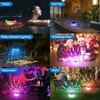 Pool Chlorine Floater, Solar Floating Pool Lights with USB Charging,