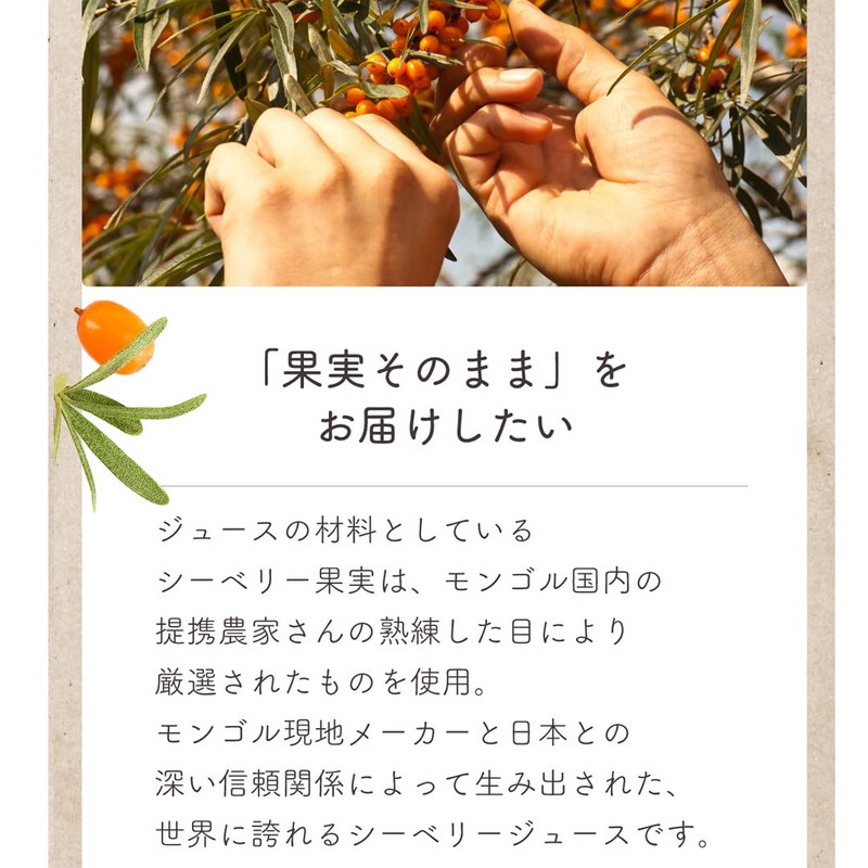 グアマラル サジー シーベリージュース サジージュース サジーサプリ 無添加 スティックタイプ モンゴル産 30ml (7個入り)