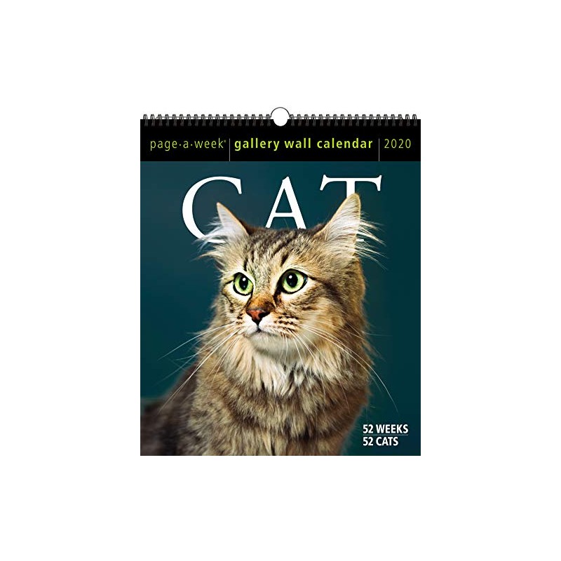 Cat Page-A-Week Gallery Wall Calendar 2020