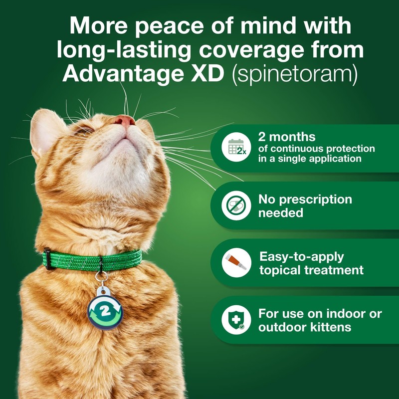 Advantage XD Large Cat Flea Prevention & Treatment For Cats