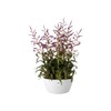 Elho 5761142315000 Flower Bowl, White, 23 x 23 x 30