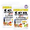 SUNDAFONE SUNDAFONE Mushroom Coffee, with L-Theanine, Ashwagandha, Lion's Mane, Reishi
