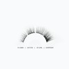 WinkClique DEMI Duo Book - DIY Eyelash Extensions 7-10 Day