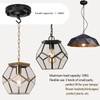 YSGUYILT Ceiling Rose with Hooks Ceiling Canopy Black Metal Canopy