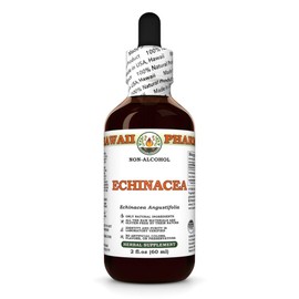Echinacea (Echinacea Angustifolia) Dry Root Glycerite, Made in Hawaii, All Natural, Vegan, Lab Tested Alcohol-Free Liquid Extract - 2 fl.oz
