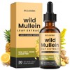 Wild Mullein Drops for Lungs, Organic Liquid Wild Mullein Leaf