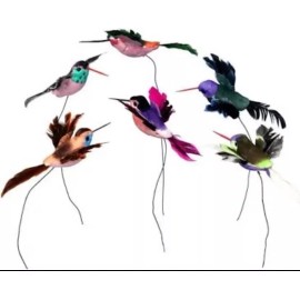burton + BURTON 6 Hummingbird Picks Multicolored Assortment Six Different Colors Plant Natural