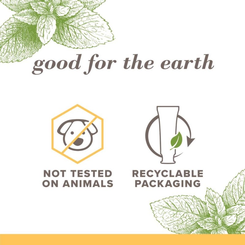 Burt's Bees Toothpaste, Natural Flavor, Fluoride-Free, Purely White, Zen Peppermint,