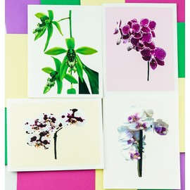 Sunshine Expressions Orchid Assorted Photographic Heavy Smooth Note Cards 8 w/10 Colored Envelopes, Boxed Set (4.25"x 5.50") Blank Inside - Made in USA
