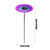 Bird Feeder - Bird Baths for Outdoors | Garden Bath