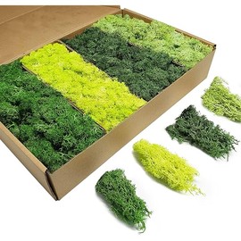 TurelinnG Preserved Moss 4 Color Reindeer Craft Moss, Total 14 OZ Each Color 3.5 OZ, Fake Moss Suitable for Flowerbeds, Crafts, Home Office Artistic Decoration (4 Colors)