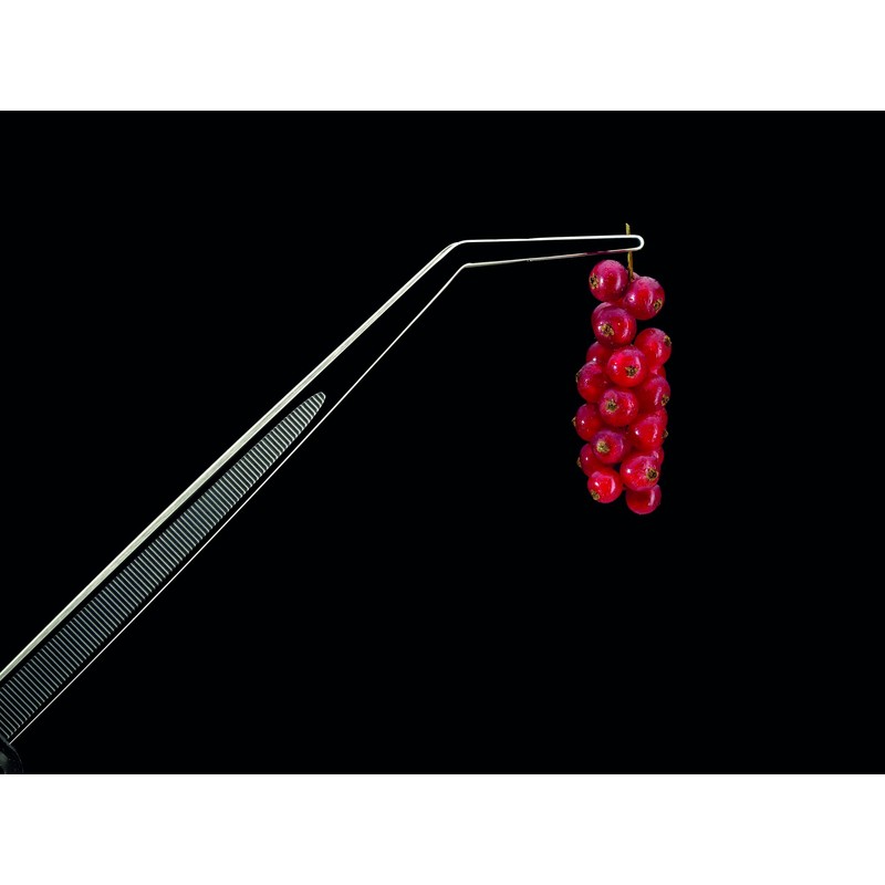 PIAZZA steel precision spring bends cm23.5 Kitchen accessories