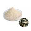 구절초추출분말 100g 샘플 Chrysanthemum Extract Powder 100g Sample