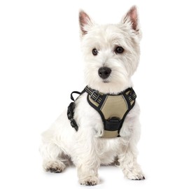 rabbitgoo Dog Harness, No-Pull Pet Harness with 2 Leash Clips, Adjustable Soft Padded Vest, Reflective No-Choke Pet Oxford Vest with Easy Control Handle for Small Dogs, Beige,XS