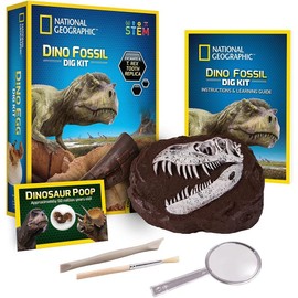 National Geograpic Dino Dig Kit