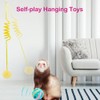 14pcs Ferret Squeaky Toys Set Rubber Balls Ferret Teeth Grinding