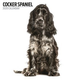 Cocker Spaniel Calendar 2025 Modern