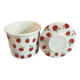 French Butter Crock for Counter With Water Line French Butter Dish for Counter