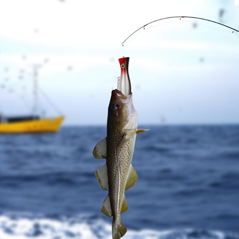 Artificial Popper Fish Lure 3D Eyes Seawater Hard Bait with