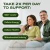 Nad+ Advanced For Energy Healthy Aging 500mg