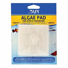 Algae Hand Pad For Acrylic