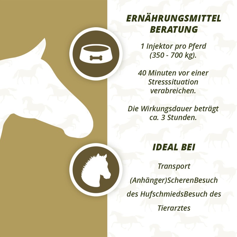 Hofman Lieve No Stress Paste Horse - Size ONESIZE