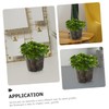 CAXUSD 6pcs Transparent Orchid Pots with Drainage Holes Clear Nursery