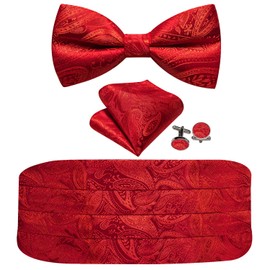 Barry.Wang Men Silk Paisley Cummerbund and Pre-tied Bowtie Handkerchief Cufflink Set for Tuxedo