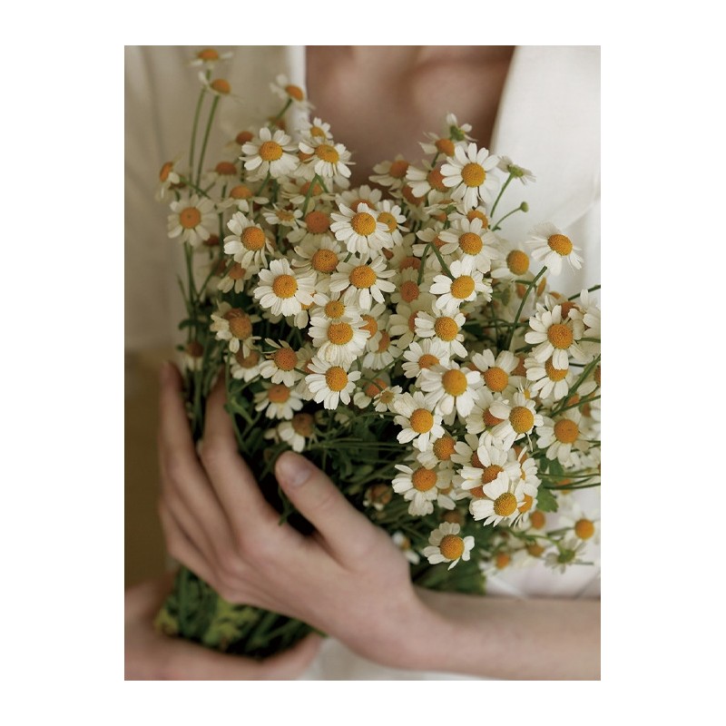 Hetras Premium Diffuser 500ml 5ea / 헤트라스 프리미엄 디퓨저 500ml