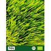 Biojoy Organic Barley Grass Powder (500 g), Ground Barley, Raw