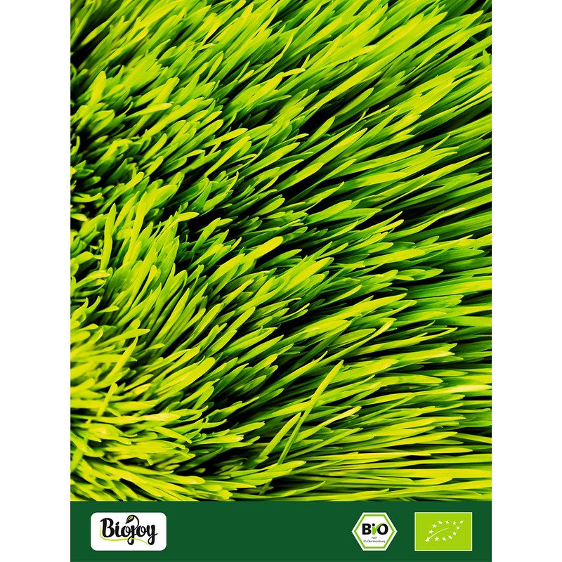 Biojoy Organic Barley Grass Powder (500 g), Ground Barley, Raw