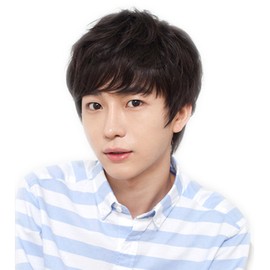 Dreambeauty ZS001 Men's Wig, Short, Men's Straight, 100% Human Hair, Black, Full Wig, Hand Planted, Short Hair, Medical Wig, Natural, Breathable, One Size Fits Most
