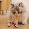 Eedoeccs Cat Toy, Cat Toy, Interactive Cat Ball, Winged Cat